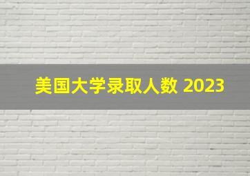 美国大学录取人数 2023